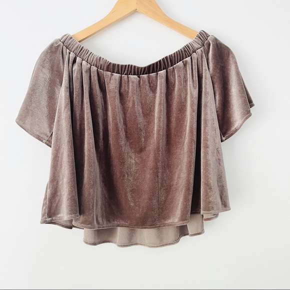 Sunday in Brooklyn Taupe Velvet Off Shoulder Top - Picture 6 of 6